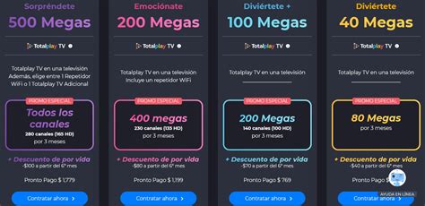 canales para adultos totalplay|Toda la información sobre la televisión por cable para adultos